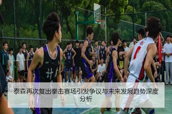 泰森再次复出拳击赛场引发争议与未来发展趋势深度分析