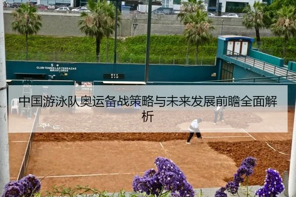 中国游泳队奥运备战策略与未来发展前瞻全面解析